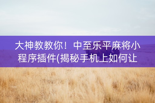 大神教教你！中至乐平麻将小程序插件(揭秘手机上如何让牌变好)