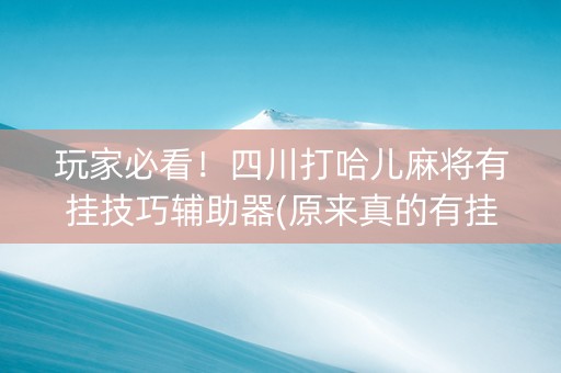 玩家必看！四川打哈儿麻将有挂技巧辅助器(原来真的有挂)