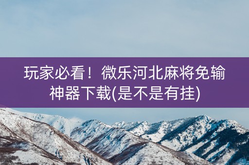 玩家必看！微乐河北麻将免输神器下载(是不是有挂)