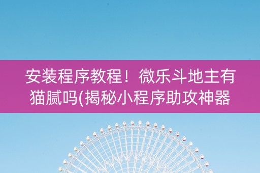 安装程序教程！微乐斗地主有猫腻吗(揭秘小程序助攻神器)