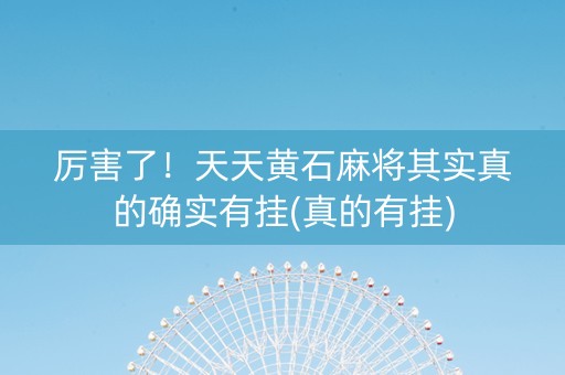 厉害了！天天黄石麻将其实真的确实有挂(真的有挂)