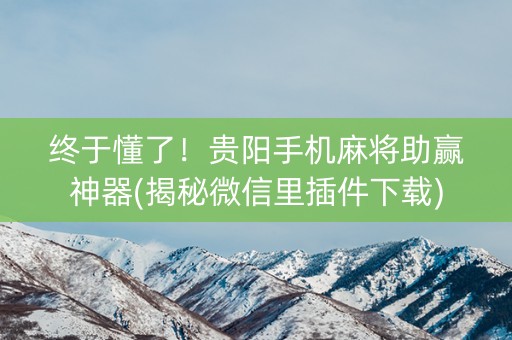 终于懂了！贵阳手机麻将助赢神器(揭秘微信里插件下载)