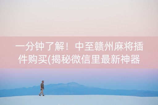 一分钟了解！中至赣州麻将插件购买(揭秘微信里最新神器下载)
