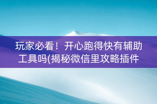 玩家必看！开心跑得快有辅助工具吗(揭秘微信里攻略插件)
