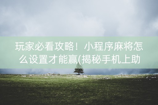 玩家必看攻略！小程序麻将怎么设置才能赢(揭秘手机上助攻神器)