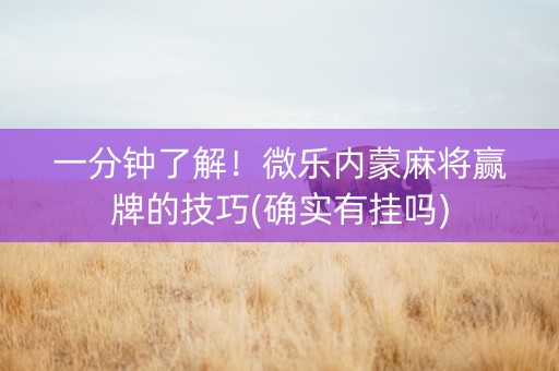 一分钟了解！微乐内蒙麻将赢牌的技巧(确实有挂吗)