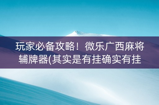 玩家必备攻略！微乐广西麻将辅牌器(其实是有挂确实有挂)