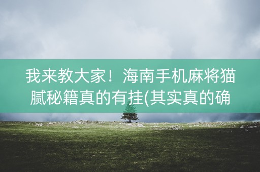 我来教大家！海南手机麻将猫腻秘籍真的有挂(其实真的确实有挂)