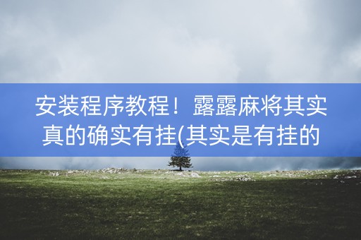 安装程序教程！露露麻将其实真的确实有挂(其实是有挂的)