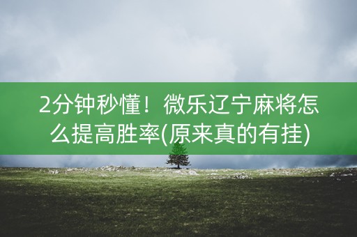 2分钟秒懂！微乐辽宁麻将怎么提高胜率(原来真的有挂)