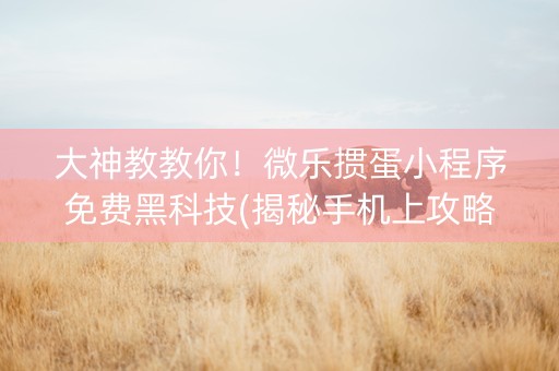 大神教教你！微乐掼蛋小程序免费黑科技(揭秘手机上攻略插件)