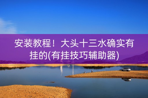安装教程！大头十三水确实有挂的(有挂技巧辅助器)