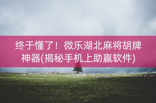 终于懂了！微乐湖北麻将胡牌神器(揭秘手机上助赢软件)