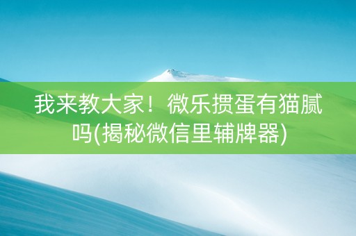 我来教大家！微乐掼蛋有猫腻吗(揭秘微信里辅牌器)