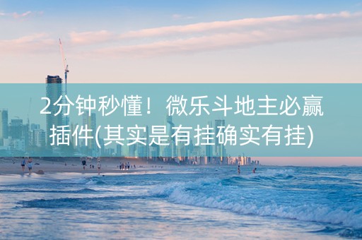 2分钟秒懂！微乐斗地主必赢插件(其实是有挂确实有挂)