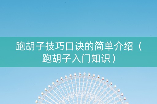 跑胡子技巧口诀的简单介绍（跑胡子入门知识）