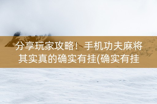 分享玩家攻略！手机功夫麻将其实真的确实有挂(确实有挂)