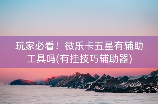 玩家必看！微乐卡五星有辅助工具吗(有挂技巧辅助器)