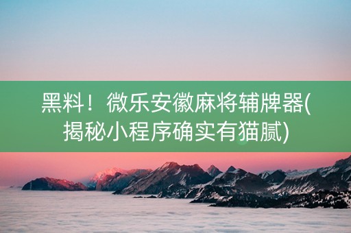 黑料！微乐安徽麻将辅牌器(揭秘小程序确实有猫腻)
