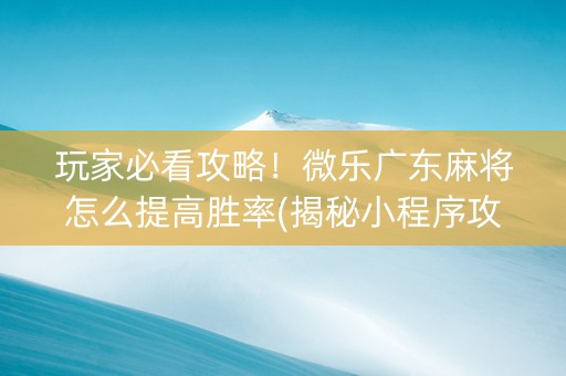 玩家必看攻略！微乐广东麻将怎么提高胜率(揭秘小程序攻略插件)