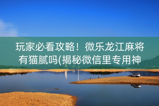 玩家必看攻略！微乐龙江麻将有猫腻吗(揭秘微信里专用神器下载)