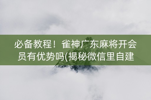 必备教程！雀神广东麻将开会员有优势吗(揭秘微信里自建房怎么赢)