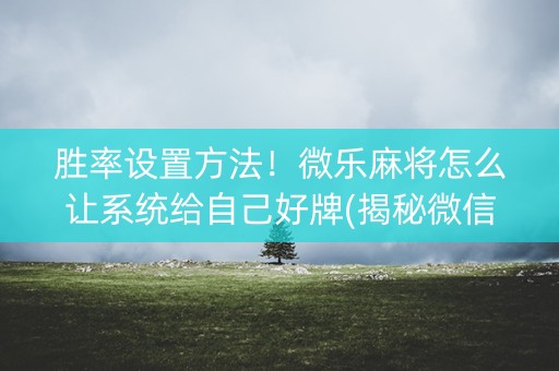 胜率设置方法！微乐麻将怎么让系统给自己好牌(揭秘微信里助攻神器)