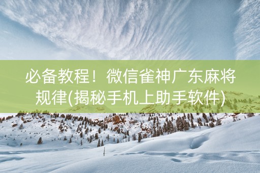 必备教程！微信雀神广东麻将规律(揭秘手机上助手软件)