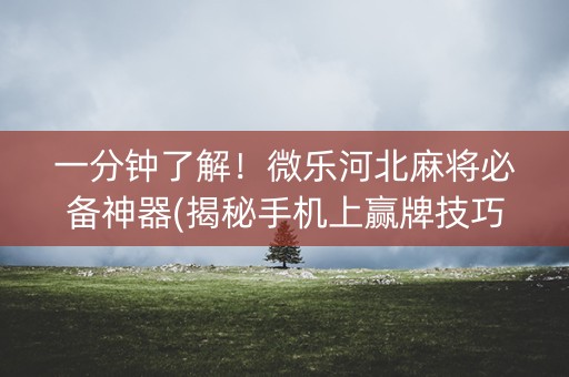 一分钟了解！微乐河北麻将必备神器(揭秘手机上赢牌技巧)