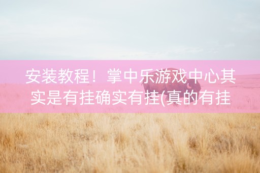 安装教程！掌中乐游戏中心其实是有挂确实有挂(真的有挂确实有挂)