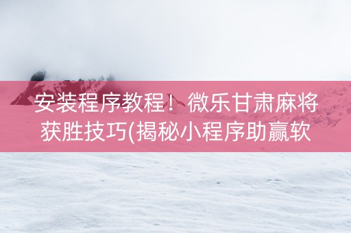 安装程序教程！微乐甘肃麻将获胜技巧(揭秘小程序助赢软件)
