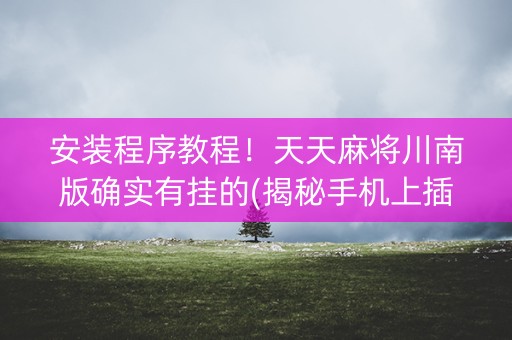 安装程序教程！天天麻将川南版确实有挂的(揭秘手机上插件下载)