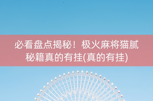 必看盘点揭秘！极火麻将猫腻秘籍真的有挂(真的有挂)