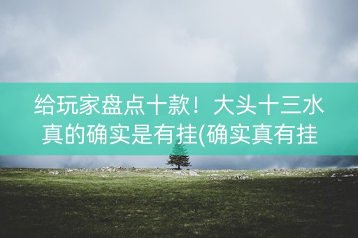 给玩家盘点十款！大头十三水真的确实是有挂(确实真有挂)