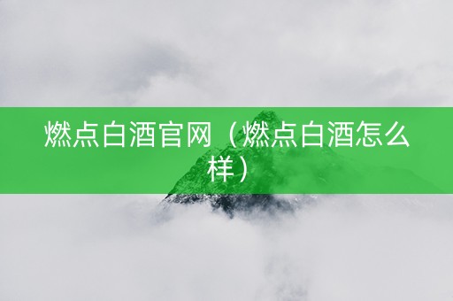 燃点白酒官网（燃点白酒怎么样）
