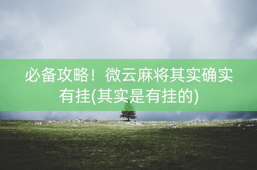 必备攻略！微云麻将其实确实有挂(其实是有挂的)