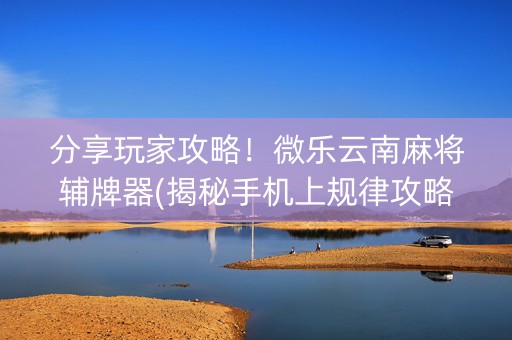 分享玩家攻略！微乐云南麻将辅牌器(揭秘手机上规律攻略)