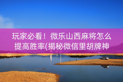 玩家必看！微乐山西麻将怎么提高胜率(揭秘微信里胡牌神器)
