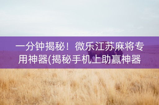 一分钟揭秘！微乐江苏麻将专用神器(揭秘手机上助赢神器)