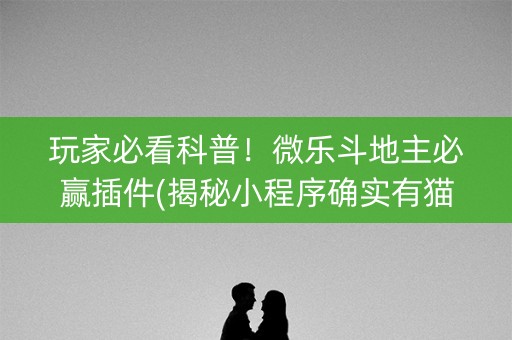 玩家必看科普！微乐斗地主必赢插件(揭秘小程序确实有猫腻)