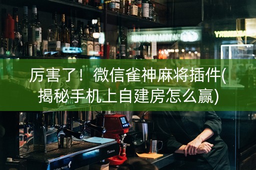 厉害了！微信雀神麻将插件(揭秘手机上自建房怎么赢)