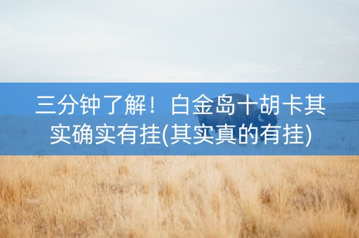 三分钟了解！白金岛十胡卡其实确实有挂(其实真的有挂)