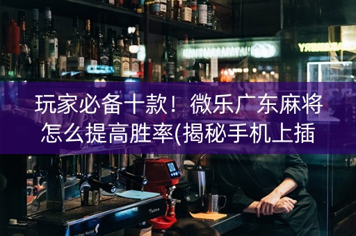 玩家必备十款！微乐广东麻将怎么提高胜率(揭秘手机上插件购买)