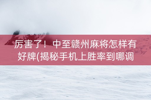 厉害了！中至赣州麻将怎样有好牌(揭秘手机上胜率到哪调)