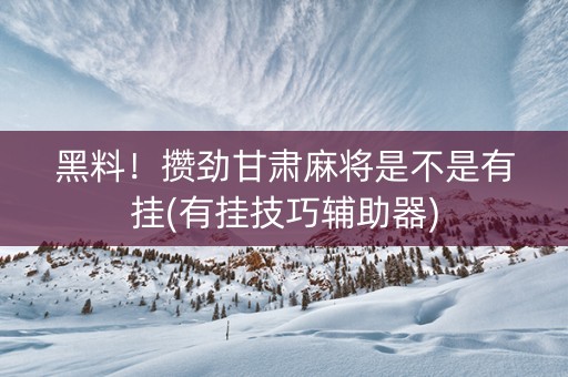 黑料！攒劲甘肃麻将是不是有挂(有挂技巧辅助器)