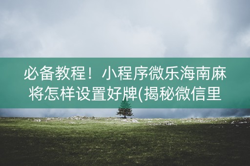 必备教程！小程序微乐海南麻将怎样设置好牌(揭秘微信里辅牌器)