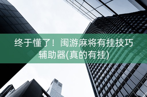 终于懂了！闽游麻将有挂技巧辅助器(真的有挂)