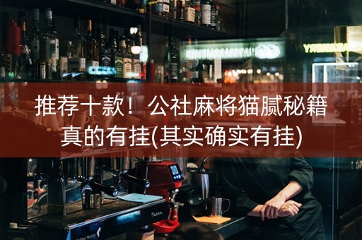 推荐十款！公社麻将猫腻秘籍真的有挂(其实确实有挂)