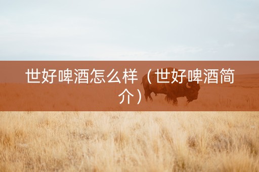 世好啤酒怎么样（世好啤酒简介）