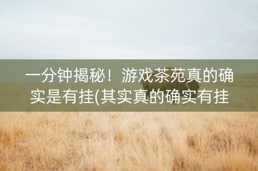 一分钟揭秘！游戏茶苑真的确实是有挂(其实真的确实有挂)